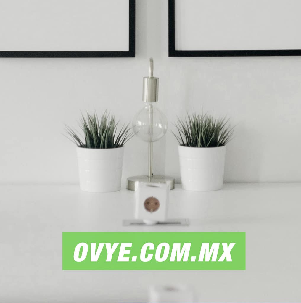 Arquitectura de marca para oficinas de Ovye