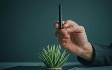 Desarrollo de aplicación móvil y equipos VR