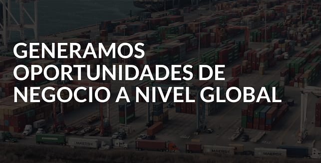 Desarrollo web responsivo para Sunblessings: Conéctate con tus clientes en cualquier dispositivo